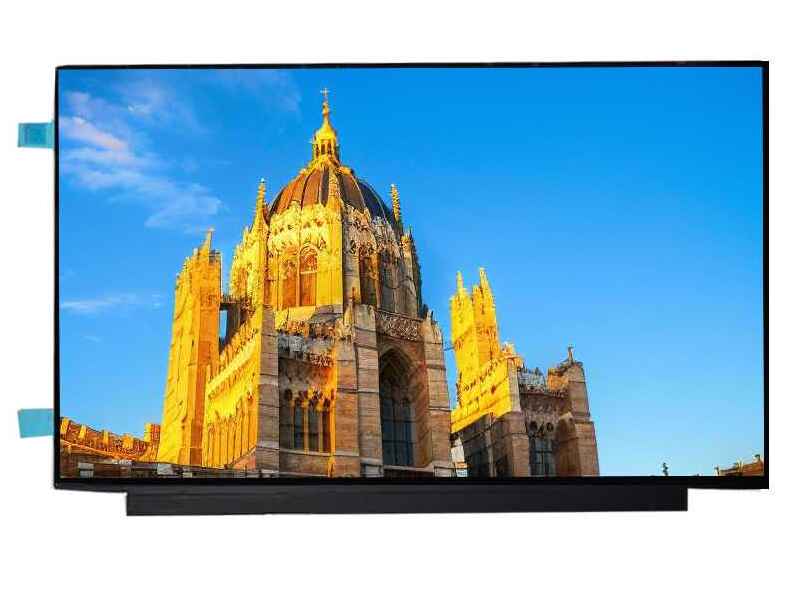 15.6 inch OLED screen